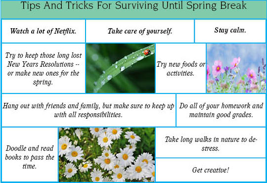 Tips and Tricks for Surviving Until Spring Break