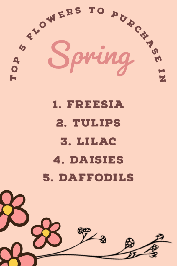 Flowers of Spring: What Do They Mean?