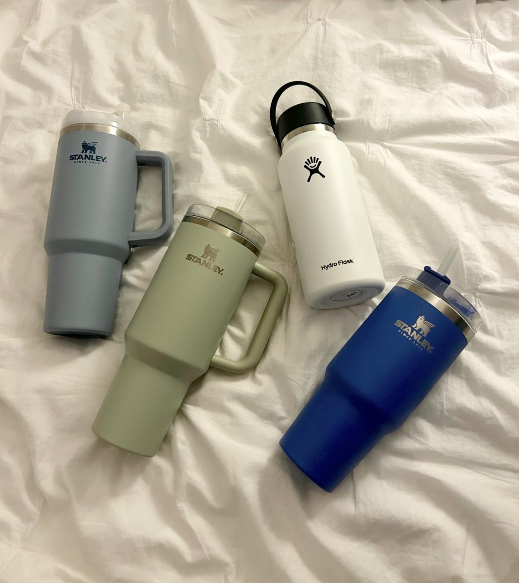 TikTok Loves This Stanley Thermos for Travel