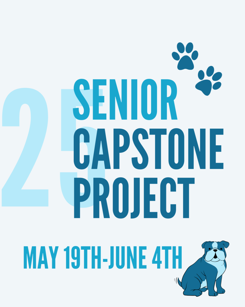 Seniors Take on Capstone