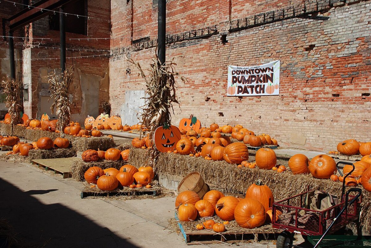 Fall Events For Everyone In Loudoun