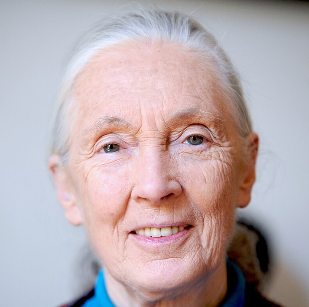 Jane Goodall: Her Life and Legacy